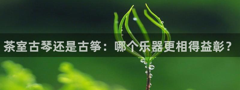 凯发app官网