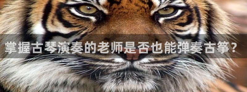 凯发国际平台app