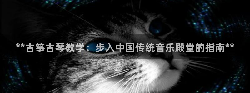 凯发国际网络平台网址