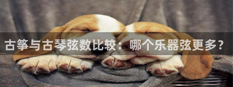 凯发国际是什么