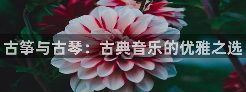凯发国际网站首页