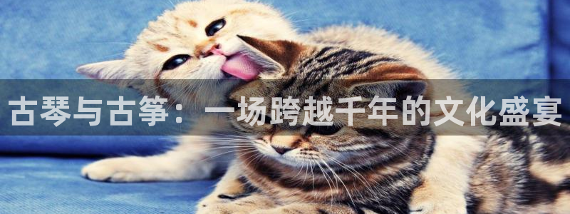凯发k8娱乐手机版官网