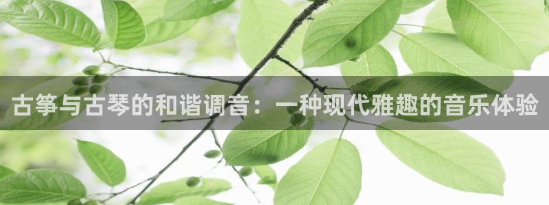 凯发k8国际不能提款了吗