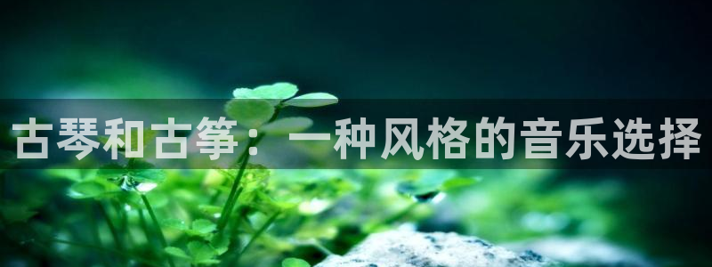 ks8凯发官方网站