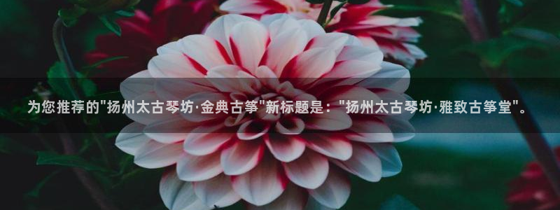 凯发k8娱乐是什么平台
