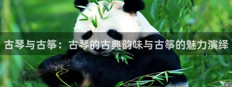 凯发k8官方网娱乐官方真