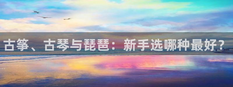 凯发k8娱乐手机版官网：古筝、古琴与琵琶：新手选哪种最好？