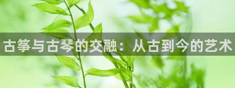 凯发app地址：古筝与古琴的交融：从古到今的艺术