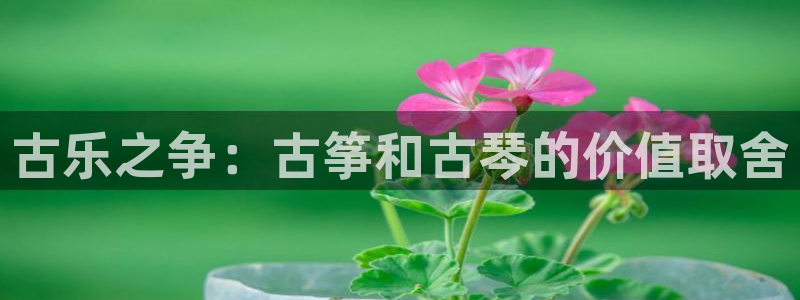 凯发k8国际注册：古乐之争：古筝和古琴的价值取舍
