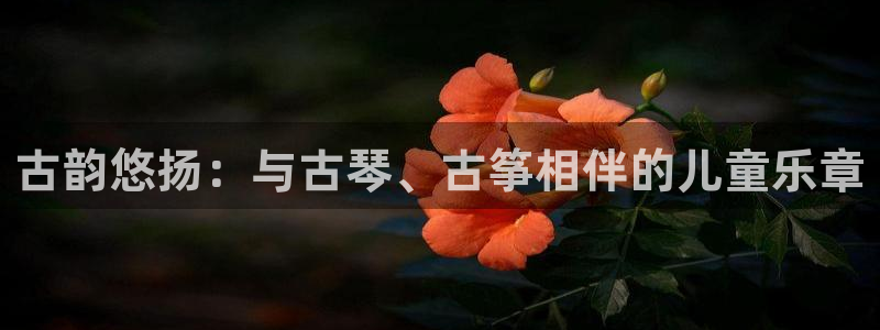 凯发最新官方app下载：古韵悠扬：与古琴、古筝相伴的儿童乐章
