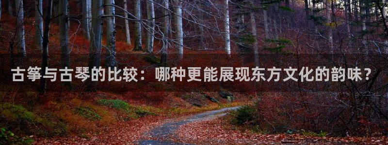 凯发K8旗舰厅：古筝与古琴的比较：哪种更能展现东方文化的韵味
