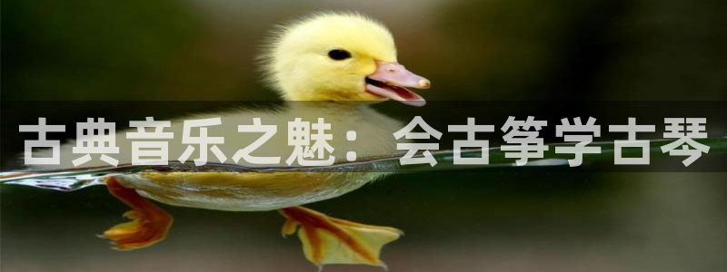 凯发k8手机是正品吗多少钱