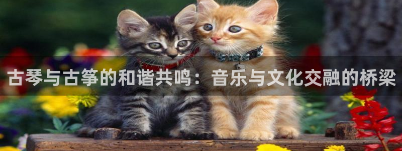 凯发k8娱乐现在还有吗：古琴与古筝的和谐共鸣：音乐与文化交融