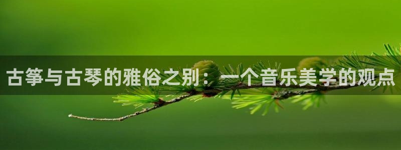 凯发k8网站是多少：古筝与古琴的雅俗之别：一个音乐美学的观点