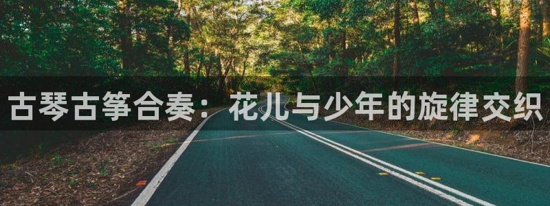 凯发k8官方网娱乐官方：古琴古筝合奏：花儿与少年的旋律交织