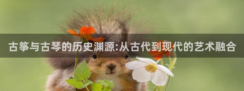 凯发k8ag85856