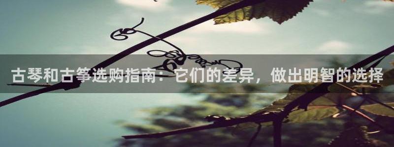 凯发国际网站官网：古琴和古筝选购指南：它们的差异，做出明智的