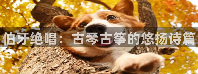 凯发国际平台登录不上：伯牙绝唱：古琴古筝的悠扬诗篇