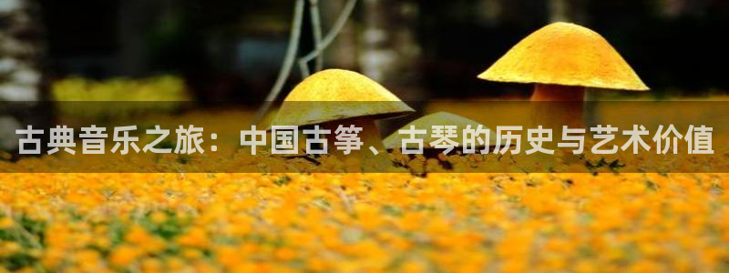 ks8凯发官方网站：古典音乐之旅：中国古筝、古琴的历史与艺术