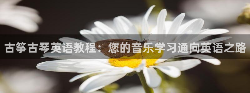 凯发k8官网下载客户端中心：古筝古琴英语教程：您的音乐学习通
