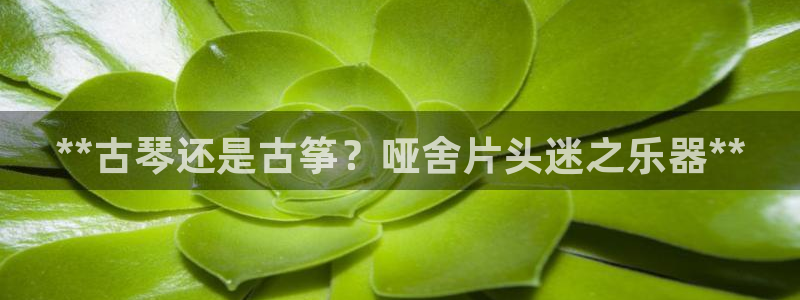 凯发k8国际下载：**古琴还是古筝？哑舍片头迷之乐器**